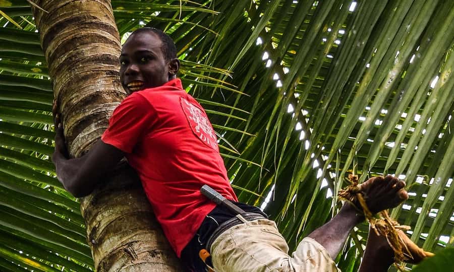 Spice farm,Stone town and Jozani forest tour with lunch - Lunch is included, and it matters more than you think