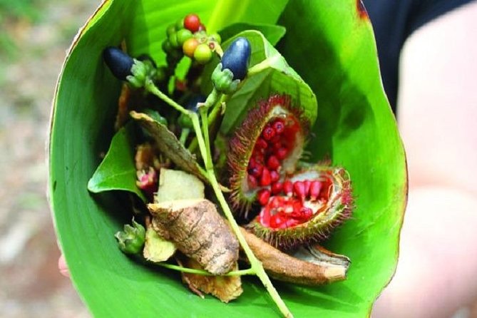 Spice Tour + Stone Town Tour + Prison Island - Who this Zanzibar day trip suits best
