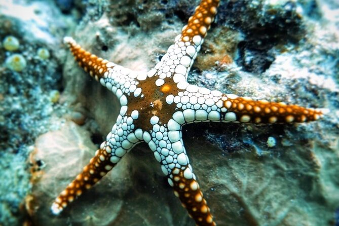 Starfish Adventure; The Rock Restaurant; Kuza Cave, Salaam Cave - What to bring for a comfortable day on the water
