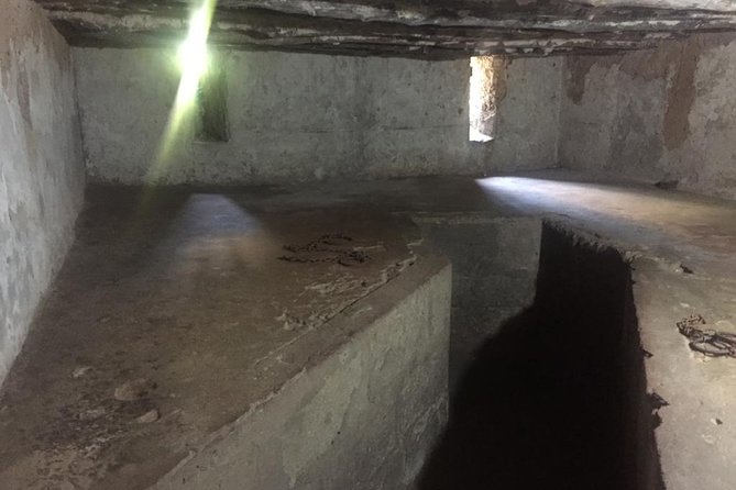 Stone Town and Prison Island Private Tour in Zanzibar - A Stone Town and Changuu combo that actually works