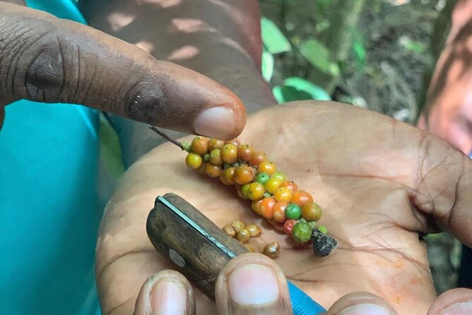 STONE TOWN and SPICE FARM TOUR ( Lunch Included ) - Price and Value: Is $130 a Good Deal?