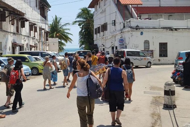 Stone Town City Tour - Price and What You Actually Get for $100