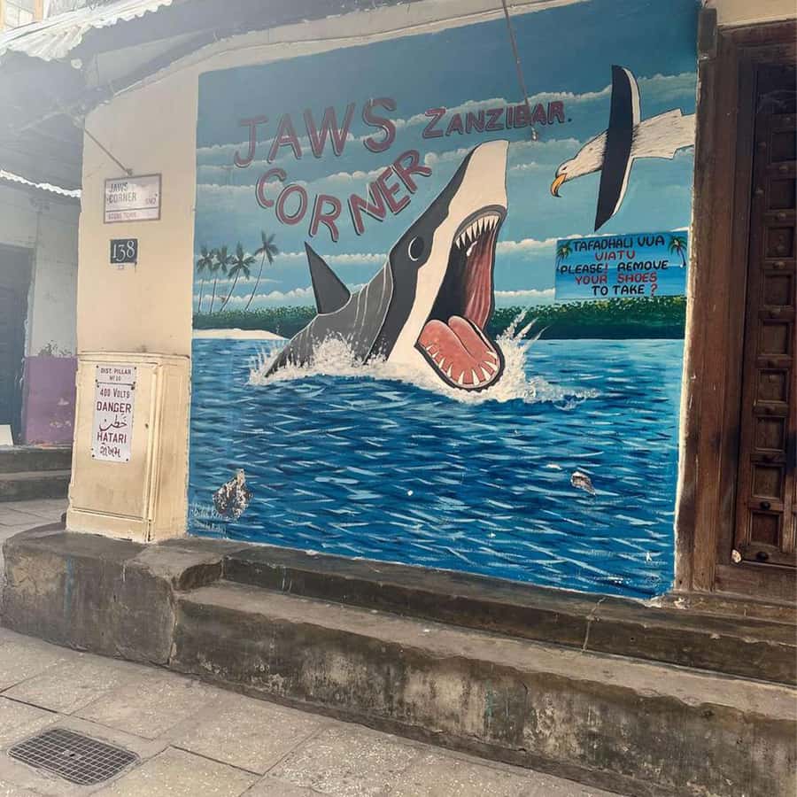 Stone Town Guided Tour: Culture, Slave Market & Spice Market - Why this Stone Town guided walk works so well in real life
