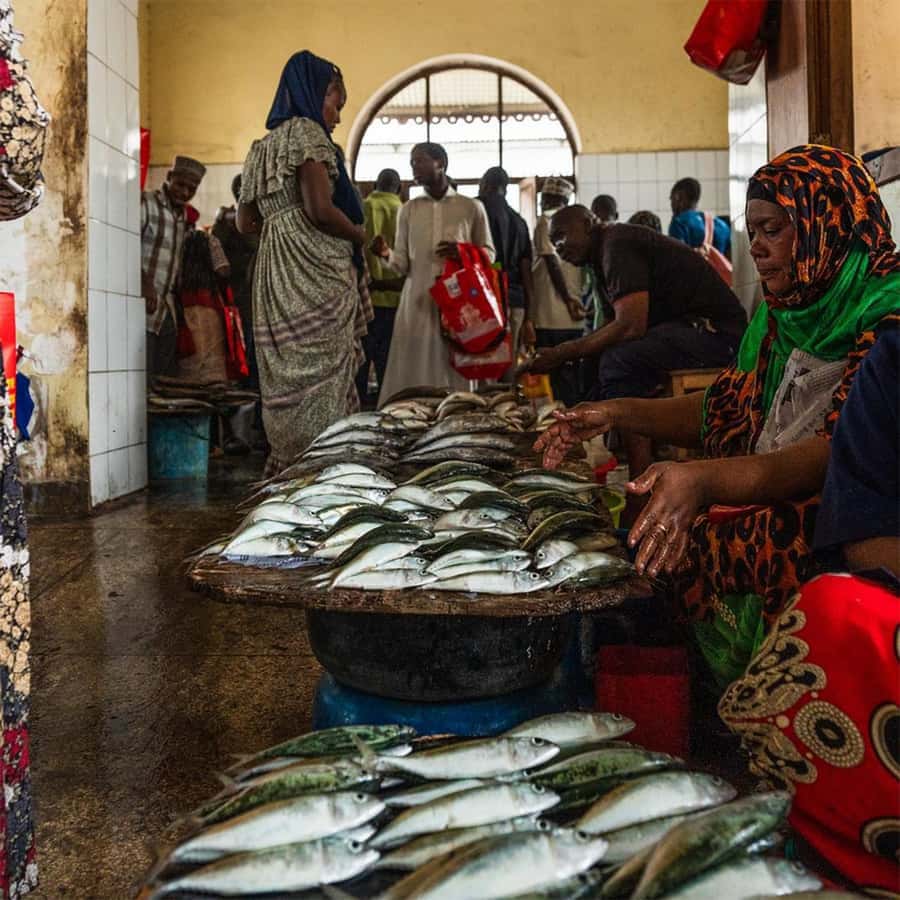 Stone Town Guided Tour: Culture, Slave Market & Spice Market - Darajani Market, spices, and Forodhani Gardens at night