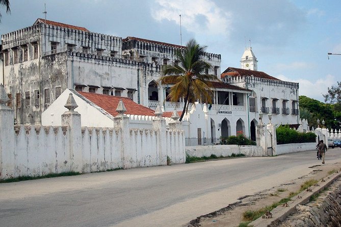 Stone Town Guided Tour from Zanzibar - Entrance fees, what is included, and why $85 can make sense