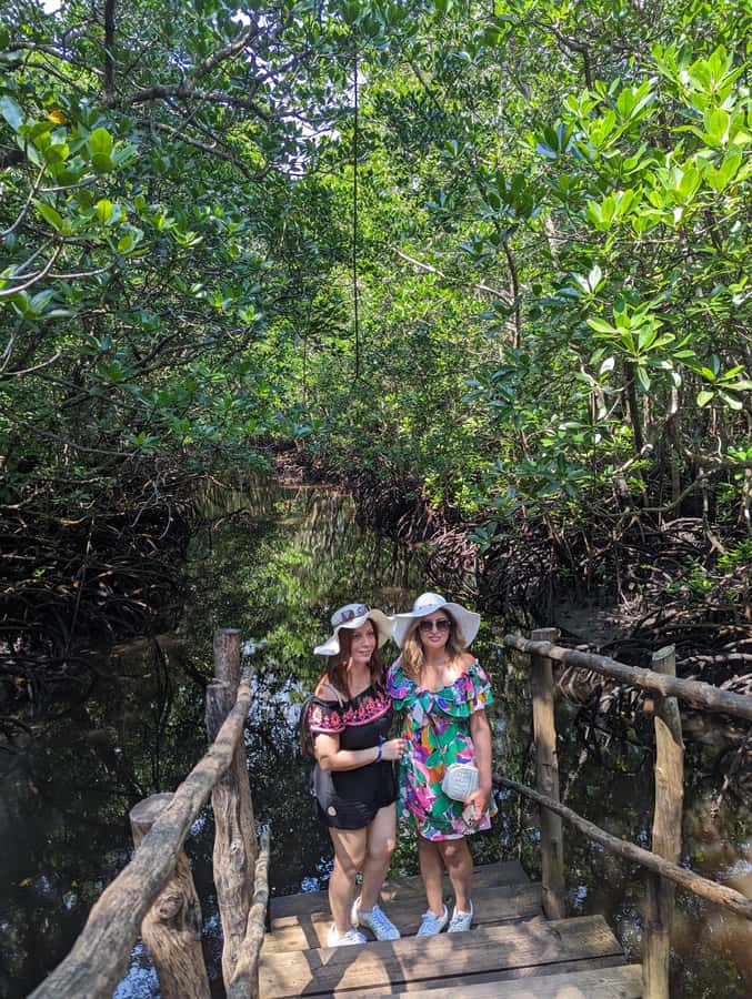 Stone Town: Jozani Chwaka Bay National Park Half-Day Tour - Mangrove boardwalk in Chwaka Bay: the ecosystem lesson you get for free