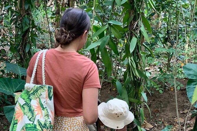 STONE TOWN, PRISON ISLAND AND SPICE FARM ( Lunch included ) - Should You Book This Tour?