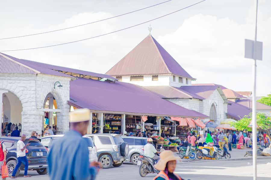 Stone Town's Hidden History: Private Guided Walking Tour - Price and What $30 Buys You in Stone Town