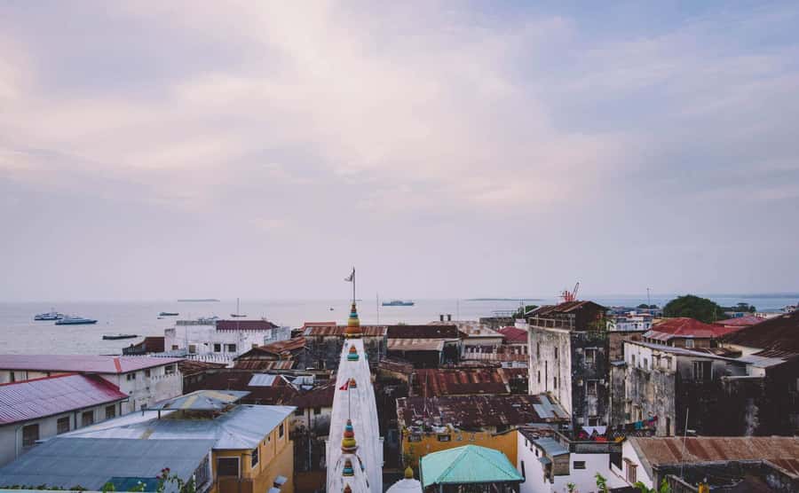 Stone Town's Hidden History: Private Guided Walking Tour - UNESCO Stone Town on Foot: Limestone Buildings and Special Doorways