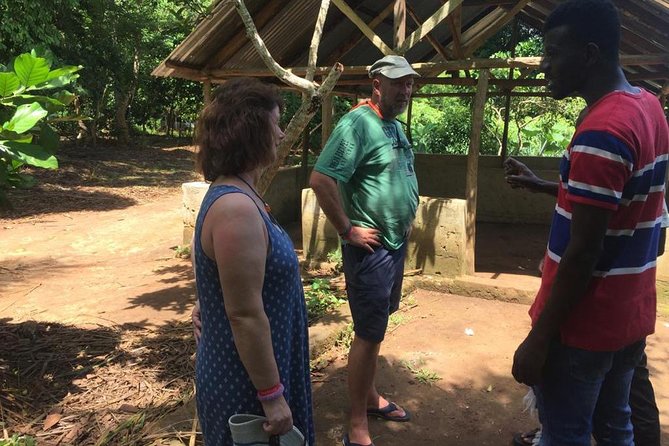 Stone Town, Spice Farm and Jozani Forest Private Tour - Private-Driver Comfort and the Real Importance of Communication