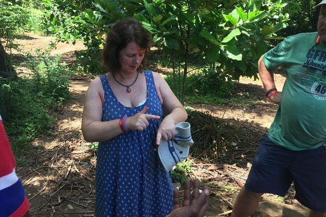 Stone Town, Spice Farm and Jozani Forest Private Tour - Who Should Book This Tour (and Who Might Want Another Plan)