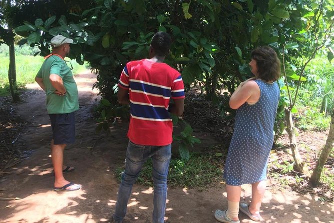 Stone Town, Spice Farm and Jozani Forest Private Tour - Should You Book This Stone Town, Spice Farm and Jozani Private Tour?