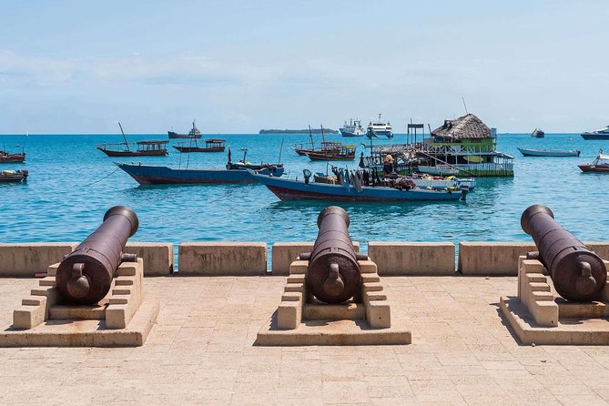 Stone Town & Spice Tour, Zanzibar secrets with Lunch - Zanzibar - Forts, Museums, Dispensary, and Former Slave Market Areas
