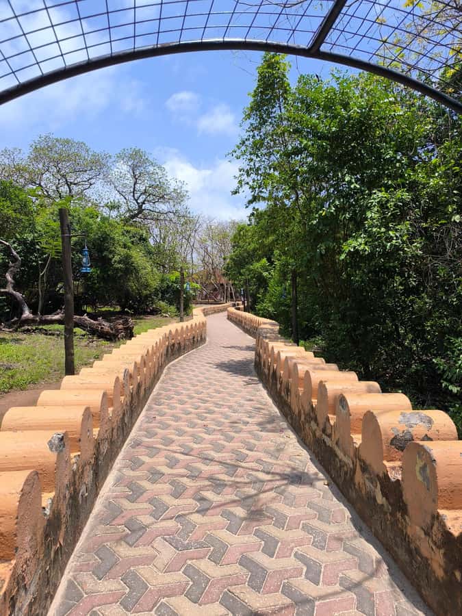 Stone town tour, Prison island and Nakupenda Sandbank - Key Things That Make This Tour Worth It