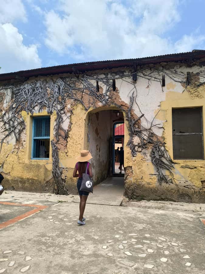 Stone town tour, Prison island and Nakupenda Sandbank - How the Day Flows: From Stone Town Sights to Sandbank Serenity