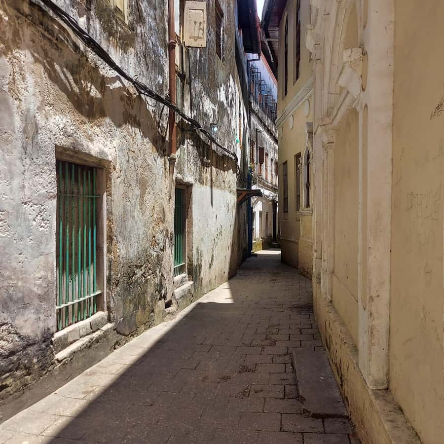Stone town walking tour ( City tour) - Quick hits
