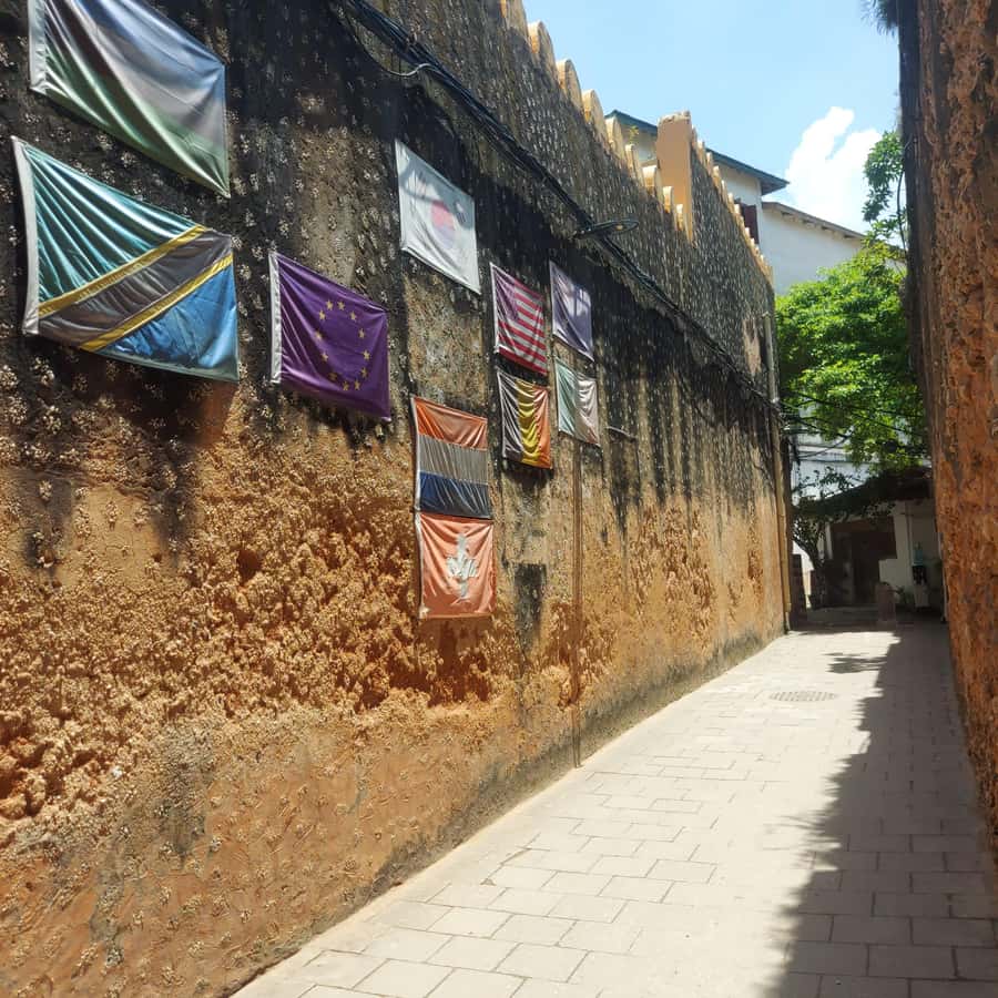Stone town walking tour ( City tour) - Why the guides make the difference