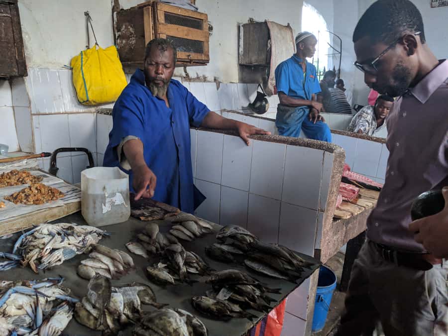 Stonetown Historical Walking Tour & Traditional Lunch - Who This Tour Suits Best (And Who Might Prefer a Different Plan)