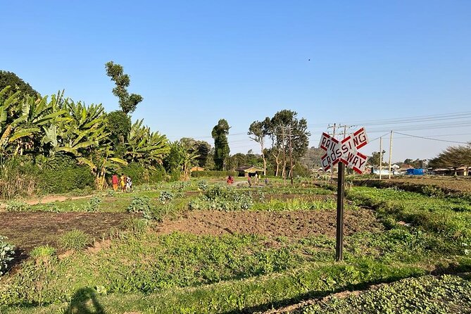 Street Food and Community Walking Tour - Sinoni, South of Arusha: what this walk is really showing you