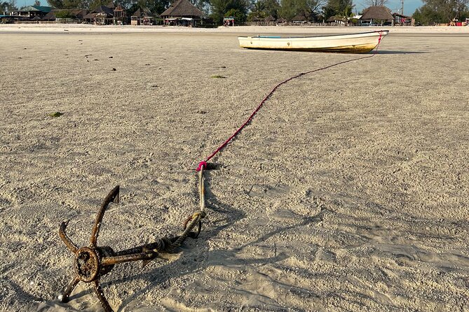 Sunrise Beach Walk with Picnic Breakfast Activity - Walking out together, then making space for your own rhythm