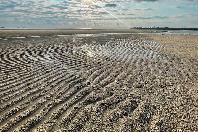 Sunrise Beach Walk with Picnic Breakfast Activity - The picnic breakfast, where the value really shows