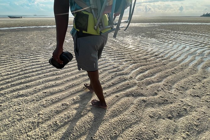 Sunrise Beach Walk with Picnic Breakfast Activity - Price, timing, and how to judge the $40 value