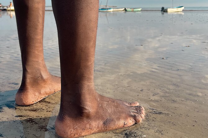 Sunrise Beach Walk with Picnic Breakfast Activity - What to bring so the walk stays fun