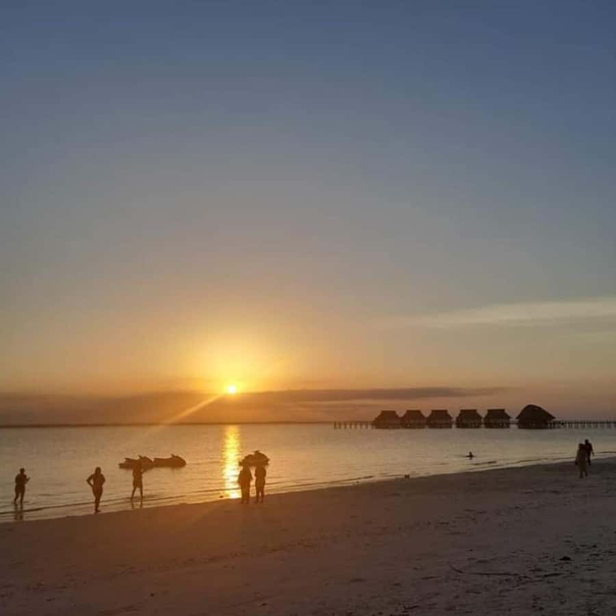 sunset dow cruise at kendwa beach - Price and Logistics: Is $50 Good Value for This Cruise?