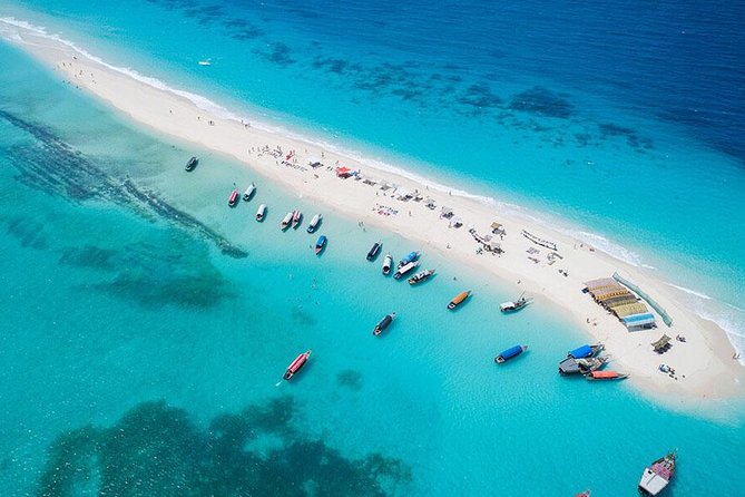 Super Zanzi Nakupenda, Prison Island & Stone Town &Lunch-Zanzibar - Snorkeling on the day: equipment provided, so your main job is to show up