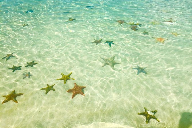 Super Zanzi, Nakupenda, Prison Island & Stone Town - Zanzibar - Who This Tour Fits Best (and Who Might Want Something Different)