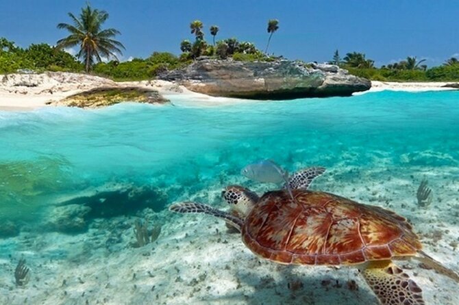 Super Zanzi, Nakupenda, Prison Island & Stone Town - Zanzibar - Prison Island Changuu, Ruins and the Aldabra Tortoises