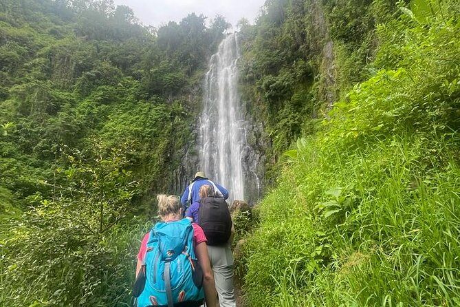 Swim to Materuni and Kikuletwa Hotspring - Drinks and lunch: the value of a proper break