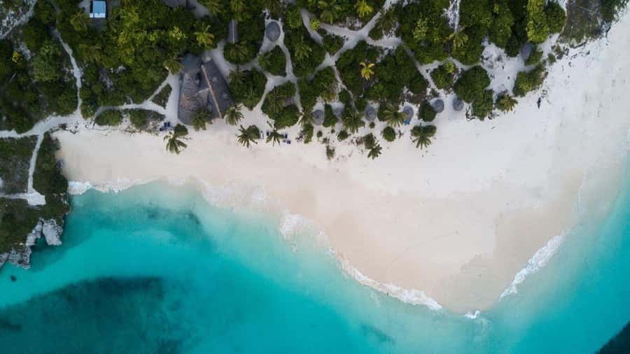 Swim with Sea Turtles, Kuza Cave, Paje Beach, The Rock Lunch - Price and value of $150 per person, realistically