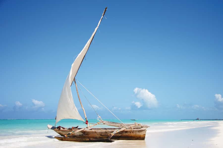 Swim with Sea Turtles, Kuza Cave, Paje Beach, The Rock Lunch - Who this fits, and who should pick a different day
