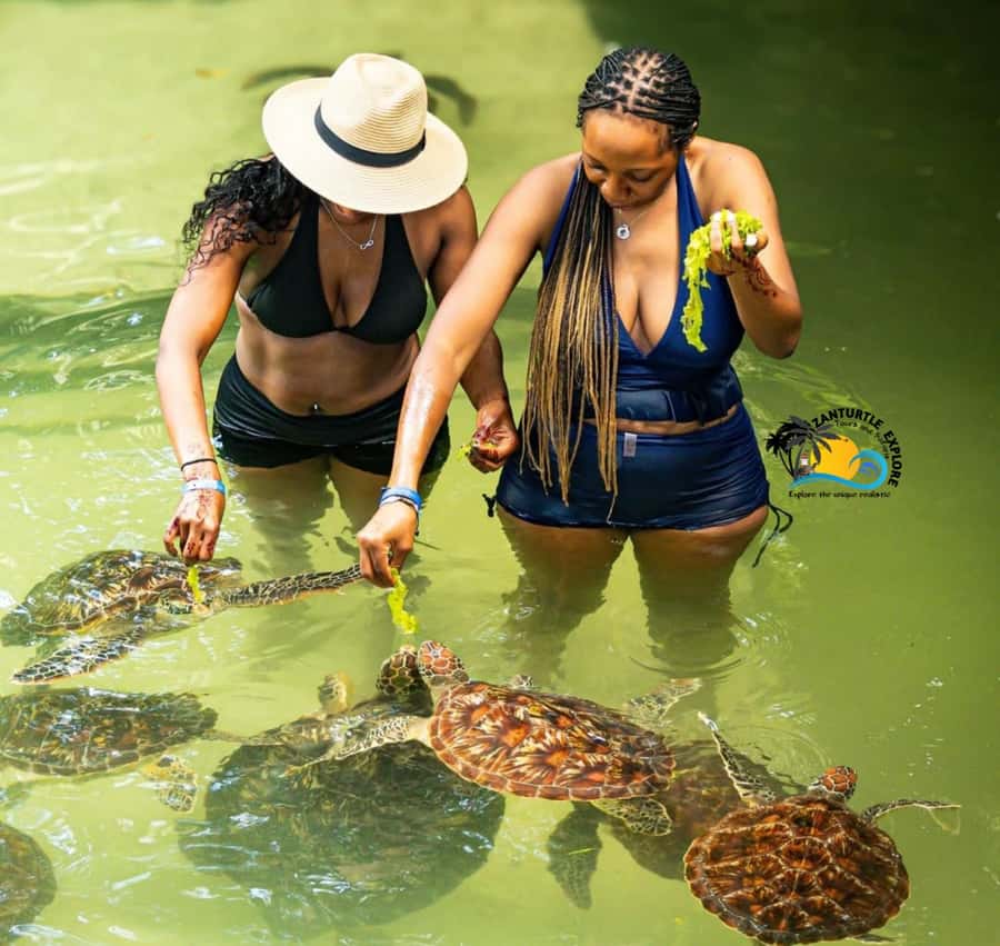 Swim with Turtles at The Lagoons Zanzibar & Stone Town Tour - Stone Town on foot: how the walking tour sets up the turtle day