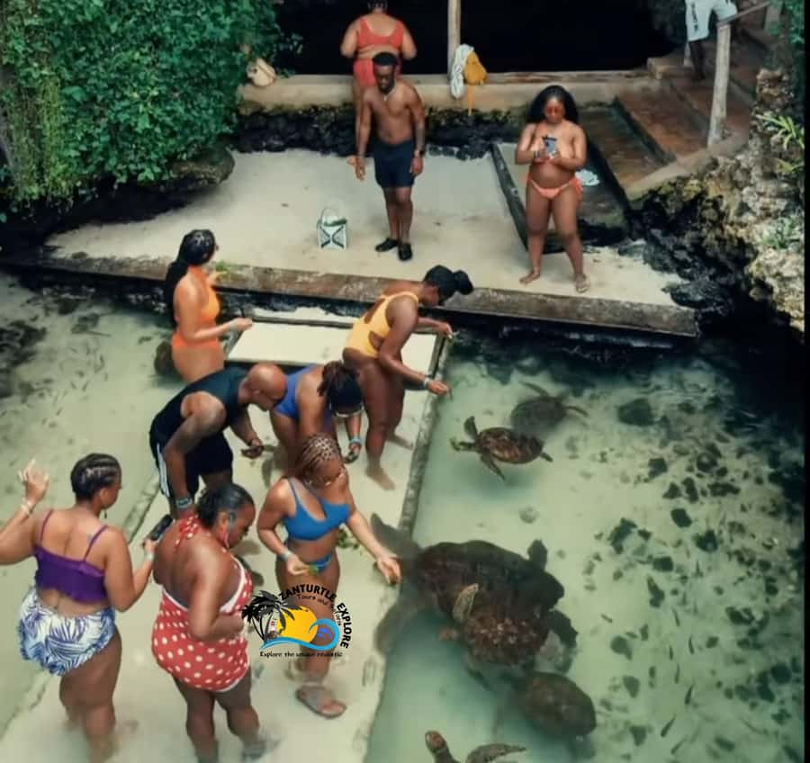 Swim with Turtles at The Lagoons Zanzibar & Stone Town Tour - Photos, timing, and small moments that make the day