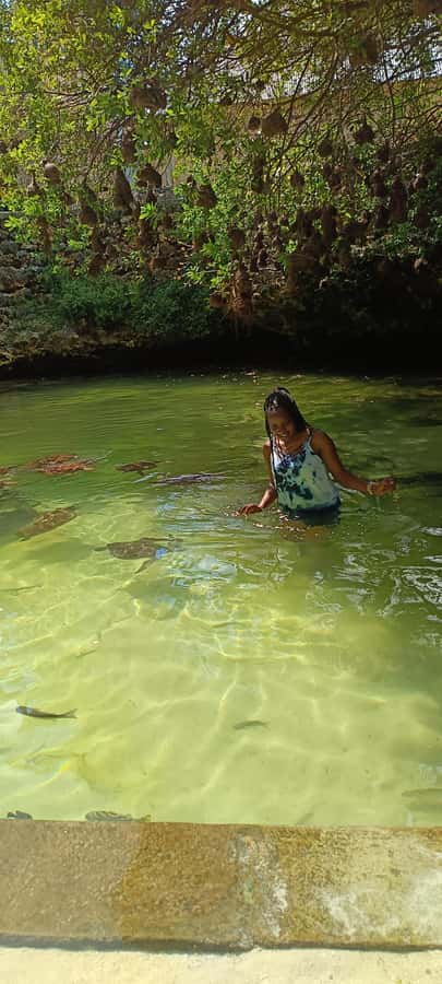 Swimming with tirltes at The Lagoons Zanzibar in Nungwi - Practical Tips So You Get the Most Out of It