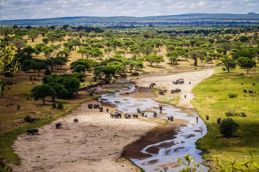 Tanzania: Big 5 Tour - Tarangire National Park: sunrise, sunset, and a picnic lunch rhythm