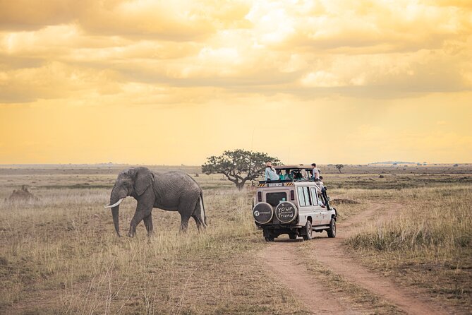 Tanzania Classic - 7 Days - Touchdown In Arusha: The Airport Welcome That Saves Your Energy