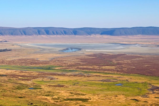 Tanzania Classic - 7 Days - Tarangire’s Animal Density And Your Return To Arusha