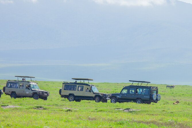 Tanzania Classic Safari 3 Days / 2 Nights - Key Takeaways Before You Go