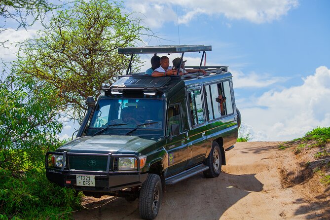 Tanzania Classic Safari 3 Days / 2 Nights - Day 2 in Ngorongoro Crater: Black Rhino, Black-Maned Lions, and Flamingoes