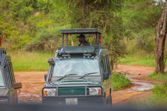 Tanzania Classic Safari 3 Days / 2 Nights - Price and Value: What $1,722.06 Covers (and Why It Matters)