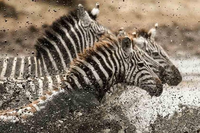 Tanzania Classic Safari - 7 Days - Tarangire National Park for elephants and ancient baobabs