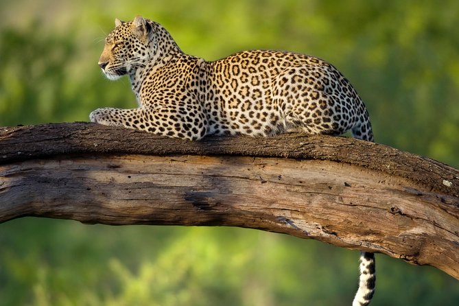 Tanzania Classic Safari - 7 Days - Mto wa Mbu reset day: keep it easy or add something local