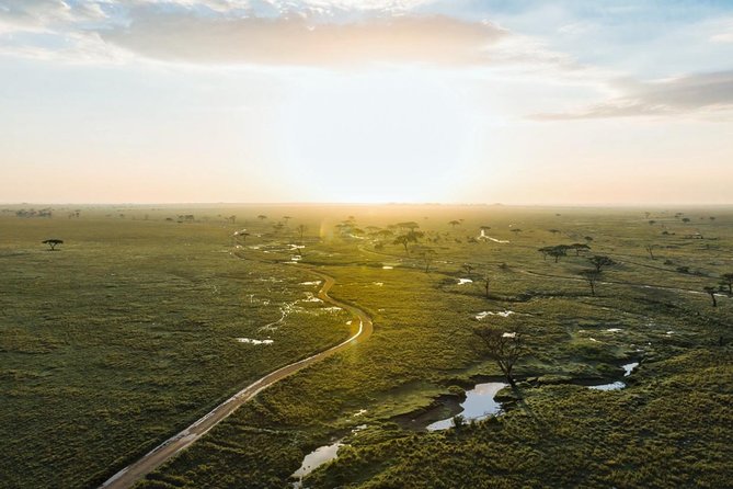 Tanzania Enticing Explorations - 6 Days - Serengeti mornings and the hunt mindset on Day 4