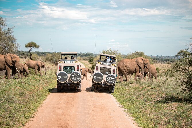 Tanzania Enticing Explorations - 6 Days - Price and value: what you’re paying for, and why it can be worth it