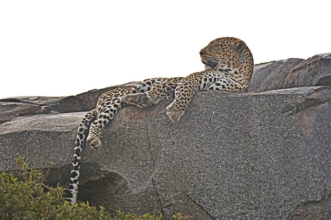 Tanzania Experience Safari and Tours - The Malanja Depression route and the Ngorongoro transition
