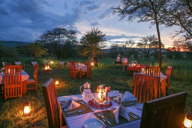 Tanzania Safari 10 Days- Serengeti, Lake Manyara, Ngorongoro Crater. - Arusha to Tarangire: Your first real wildlife day
