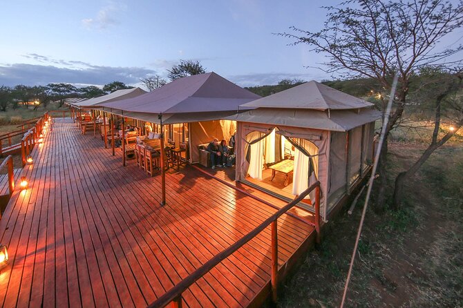 Tanzania Safari 10 Days- Serengeti, Lake Manyara, Ngorongoro Crater. - Serengeti days 7 and 8: Sunrise drives, herds, and the big cat search